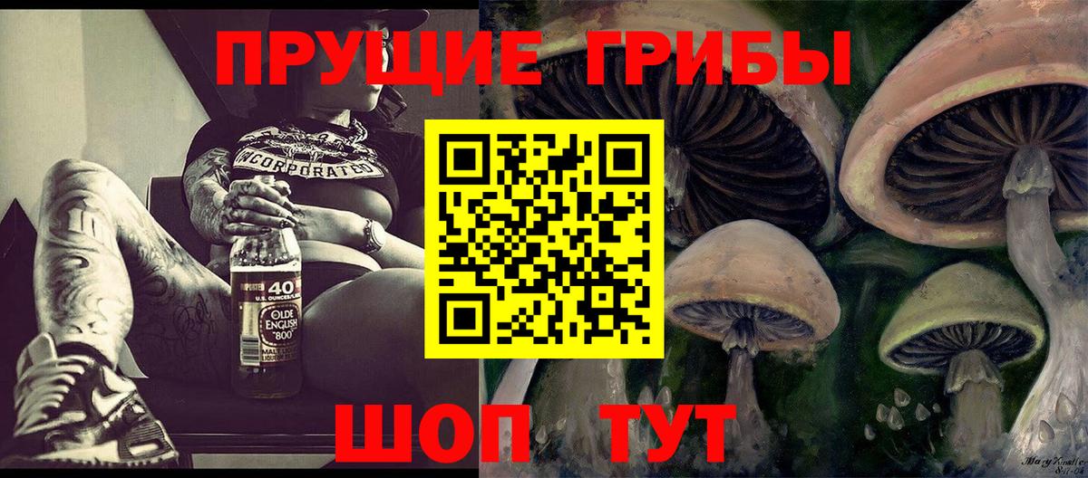 Галлюциногенные грибы Cubensis Чистополь