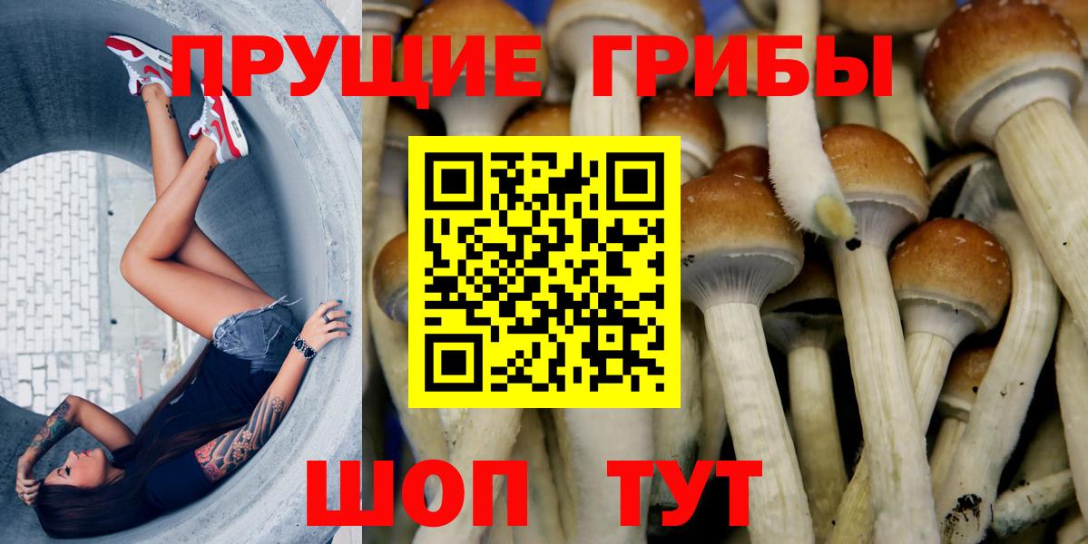 Псилоцибиновые грибы MAGIC MUSHROOMS  Галлюциногенные грибы MAGIC MUSHROOMS  Вход с VPN  Чистополь 